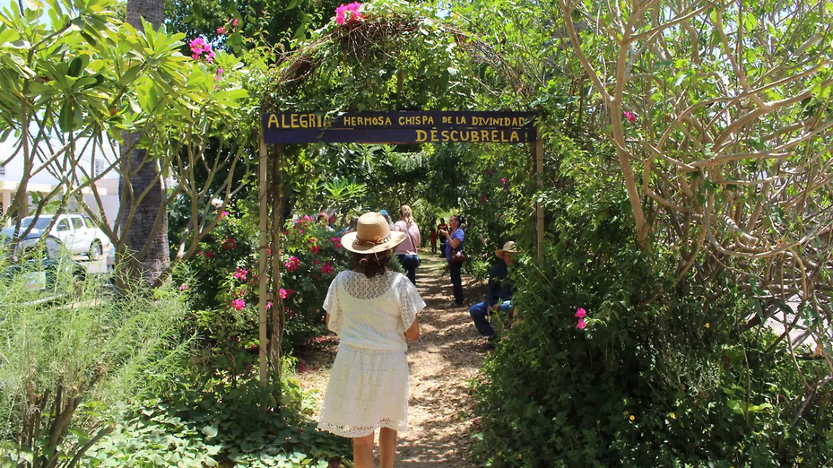 Bosque de la Alegria camellon - Mike Acosta (1)